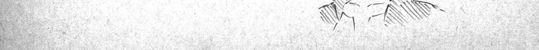 Read Black Clover - Chapter 16.1 - blackclover.com.lv | Image 14