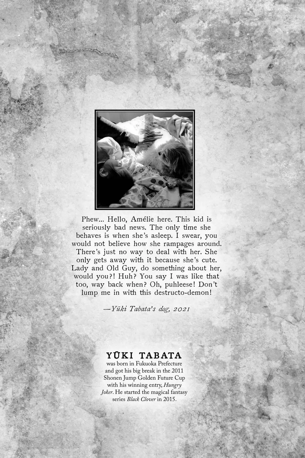 Read Black Clover - Chapter 283 - blackclover.com.lv | Image 2
