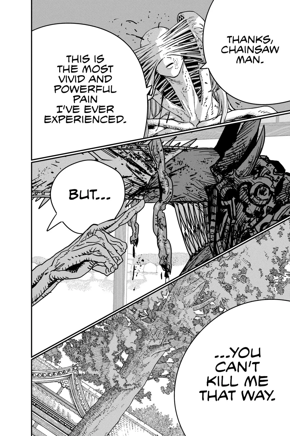 Chainsaw Man Chapter 187 - Page 15