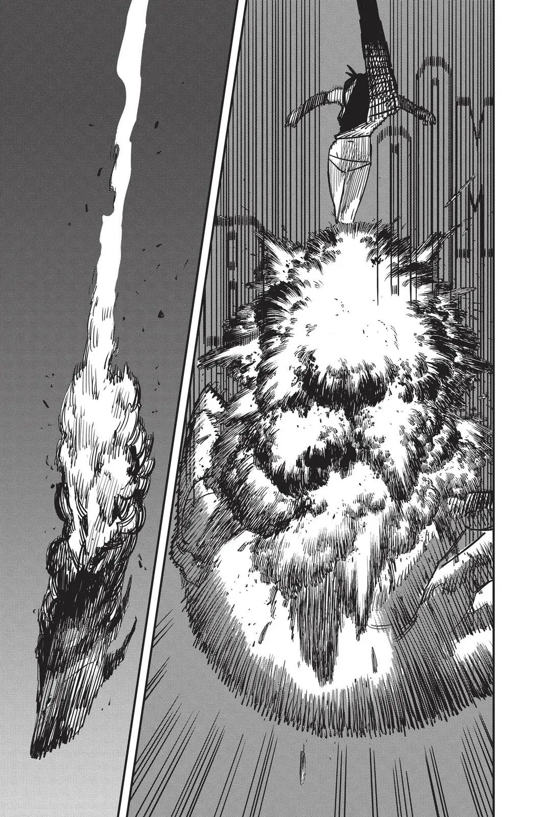 Chainsaw Man Chapter 50 - Page 15