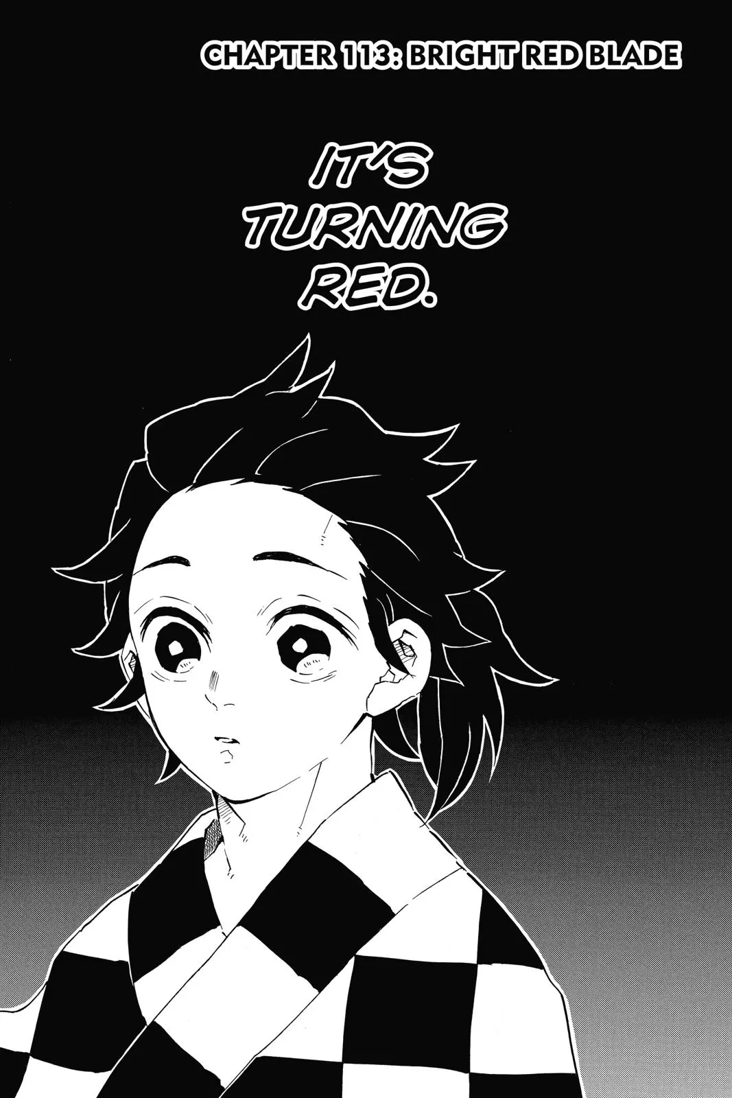 Read Demon Slayer - Chapter 113 - www.readdemonslayerfree.com | Image 1