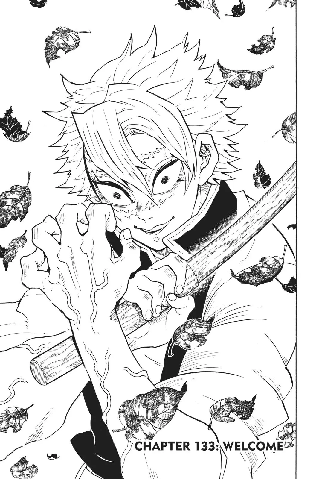 Read Demon Slayer - Chapter 133 - www.readdemonslayerfree.com | Image 1