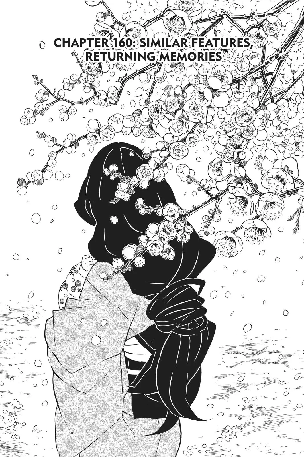 Read Demon Slayer - Chapter 160 - www.readdemonslayerfree.com | Image 1