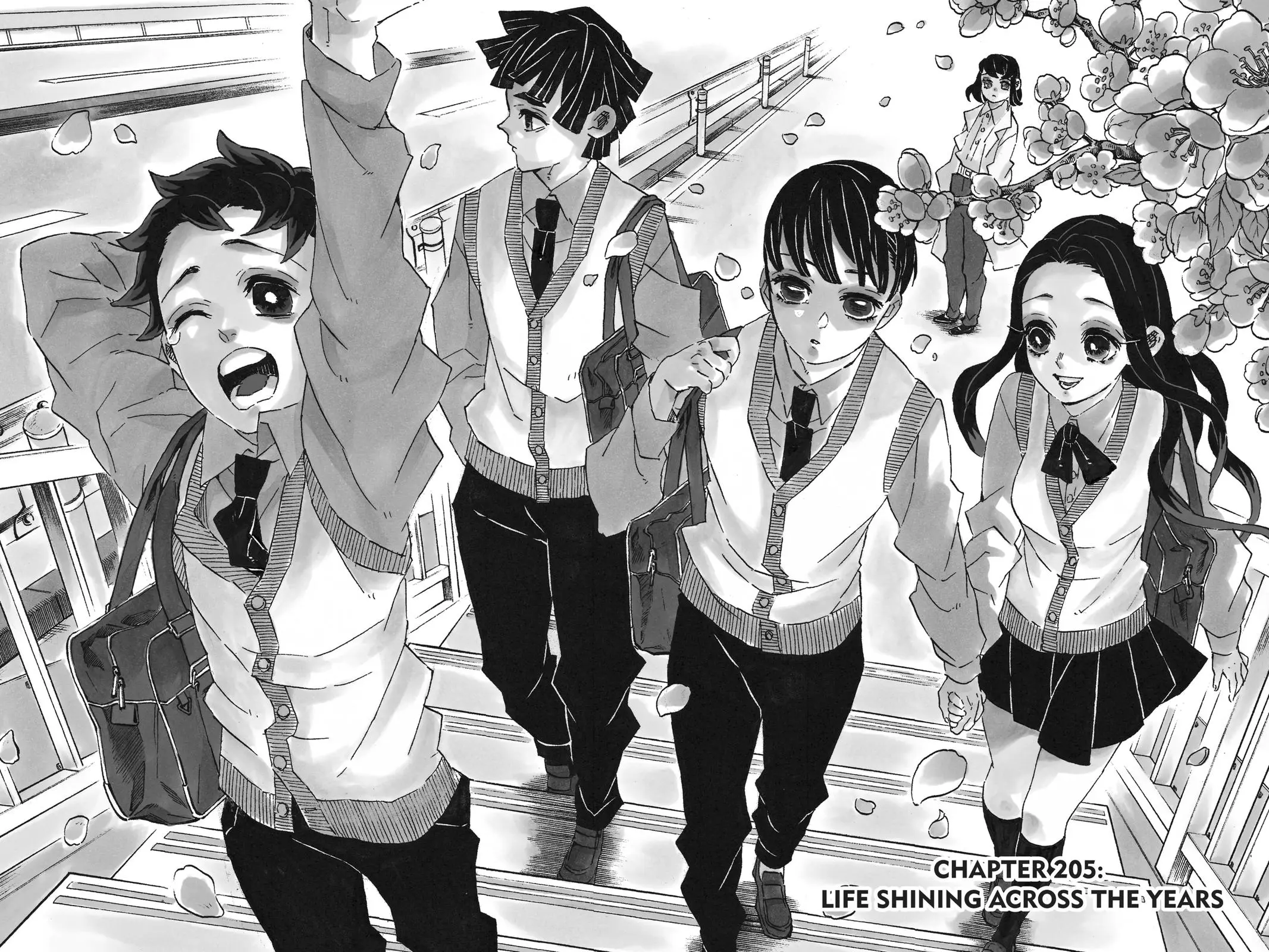 Read Demon Slayer - Chapter 205 - www.readdemonslayerfree.com | Image 2