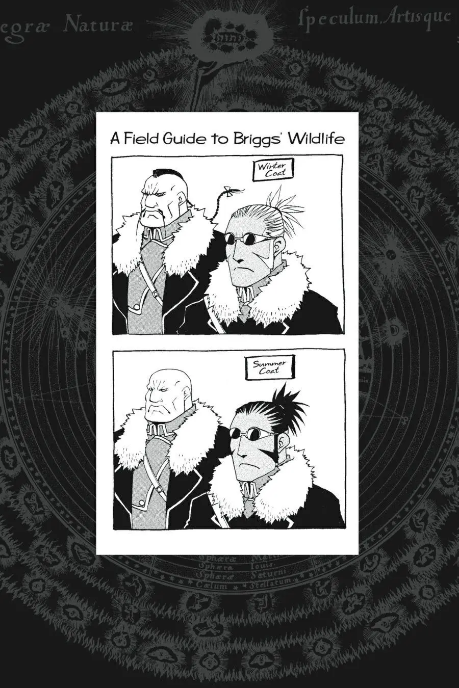 Fullmetal Alchemist Chapter 78