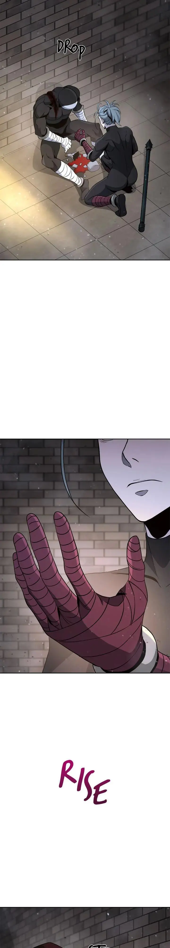 The Skeleton Soldier Failed to Defend the Dungeon Chapter 256