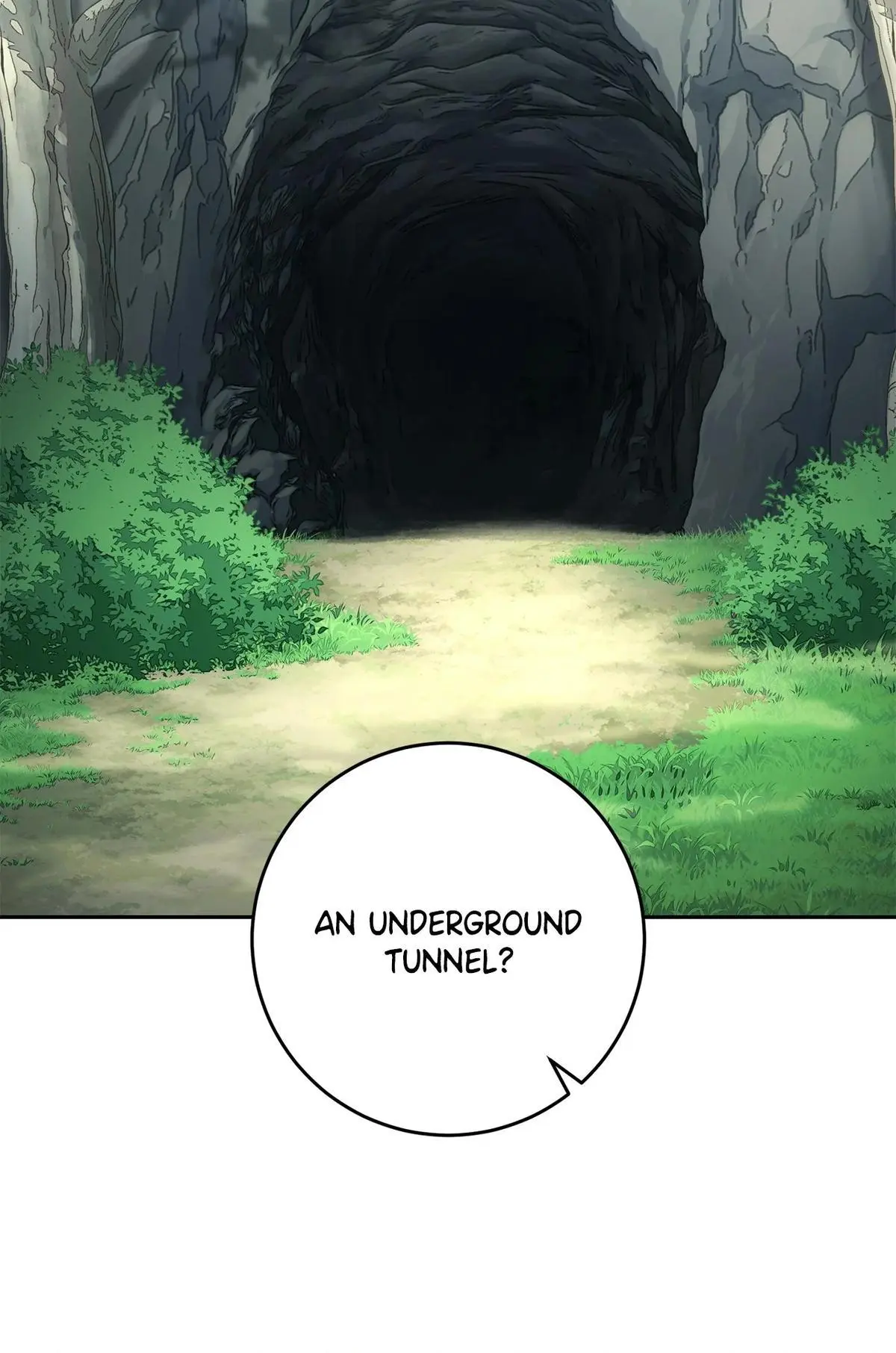 The Skeleton Soldier Failed to Defend the Dungeon Chapter 314