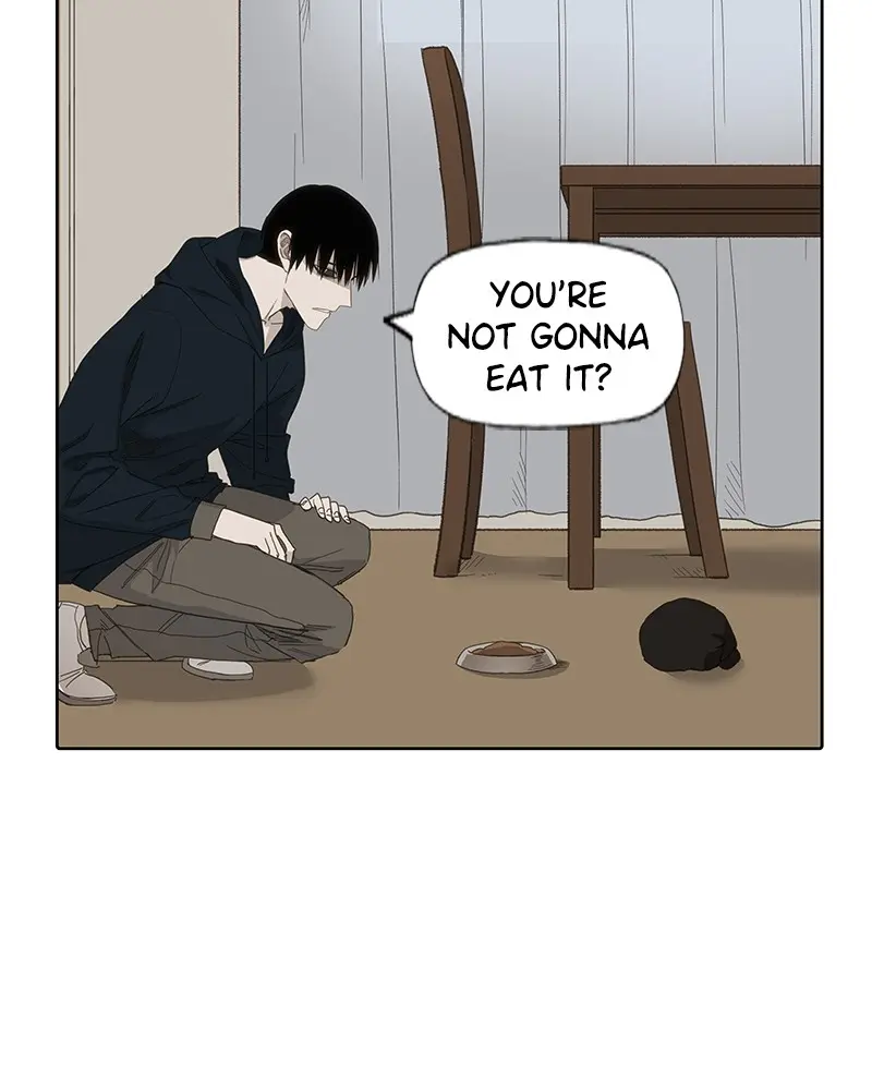 Read The Boxer - Chapter 79 - www.boxermanga.com | Image 37