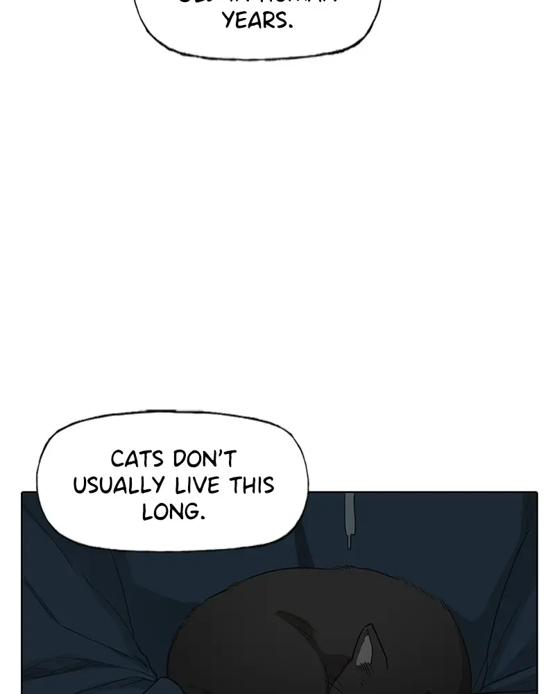 Read The Boxer - Chapter 80 - www.boxermanga.com | Image 75