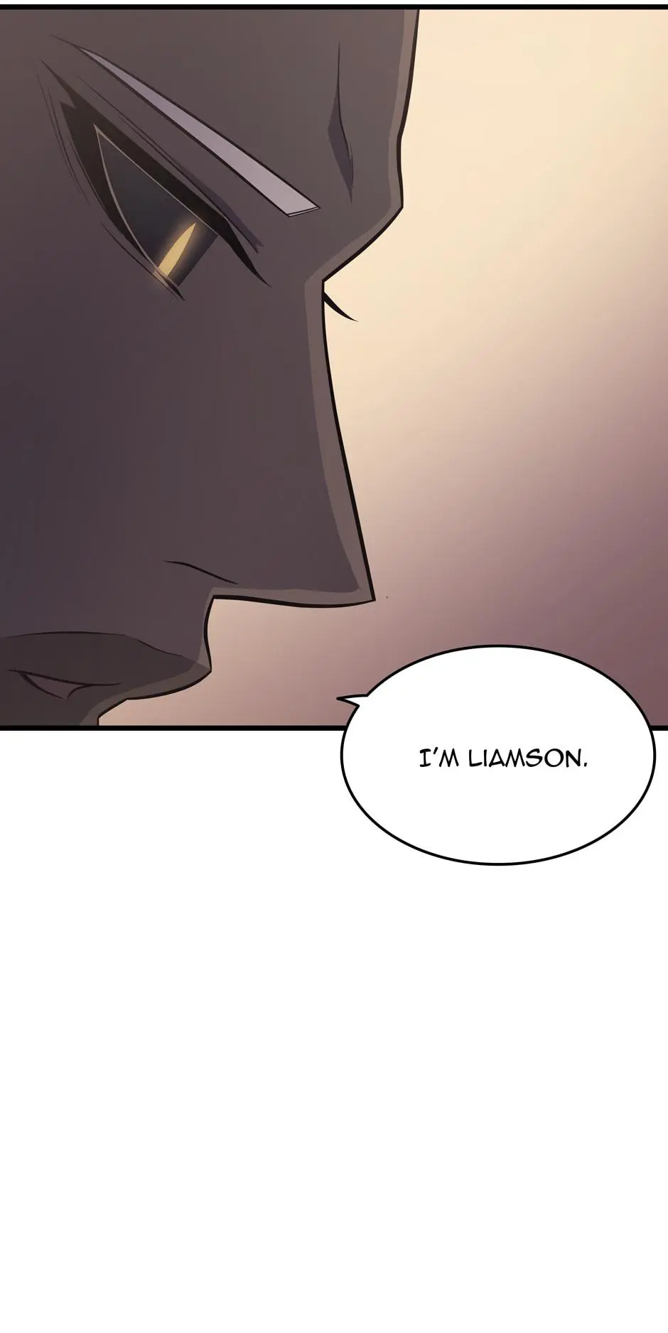 The Archmage Returns After 4000 Years Chapter 47