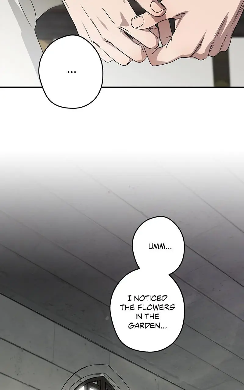 The Spark in Your Eyes Chapter 101