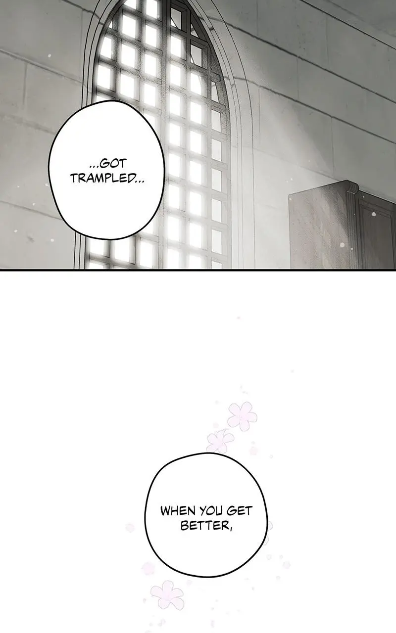 The Spark in Your Eyes Chapter 101