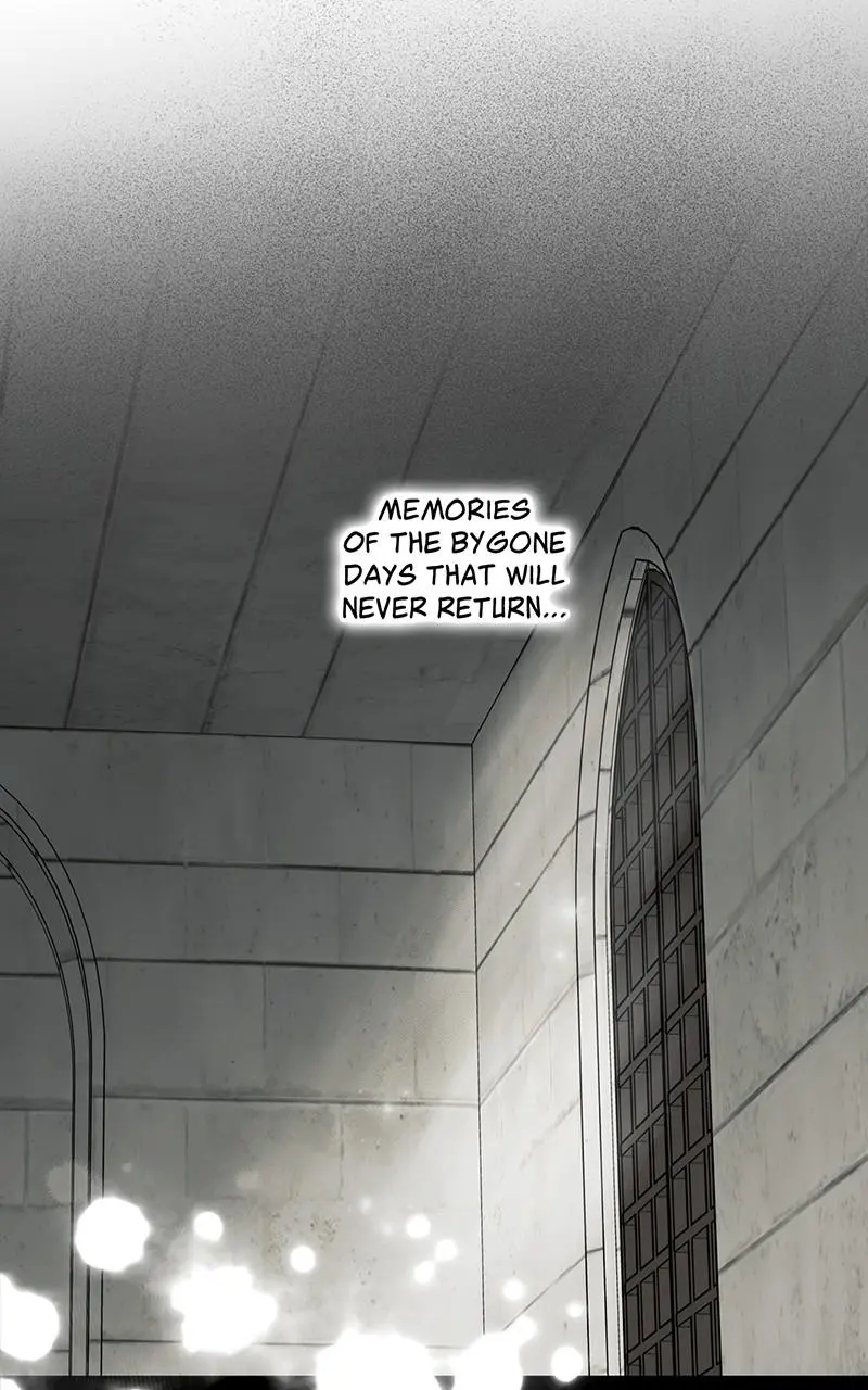 The Spark in Your Eyes Chapter 102