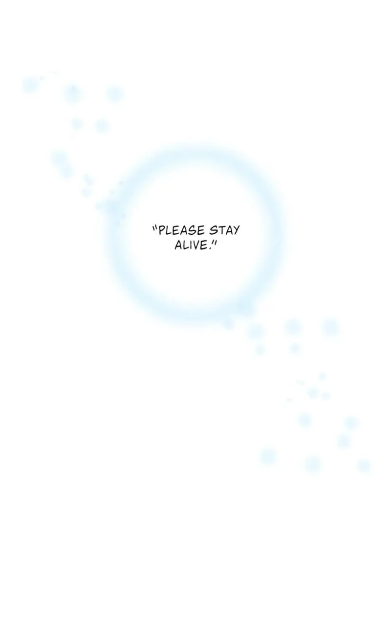 The Spark in Your Eyes Chapter 107