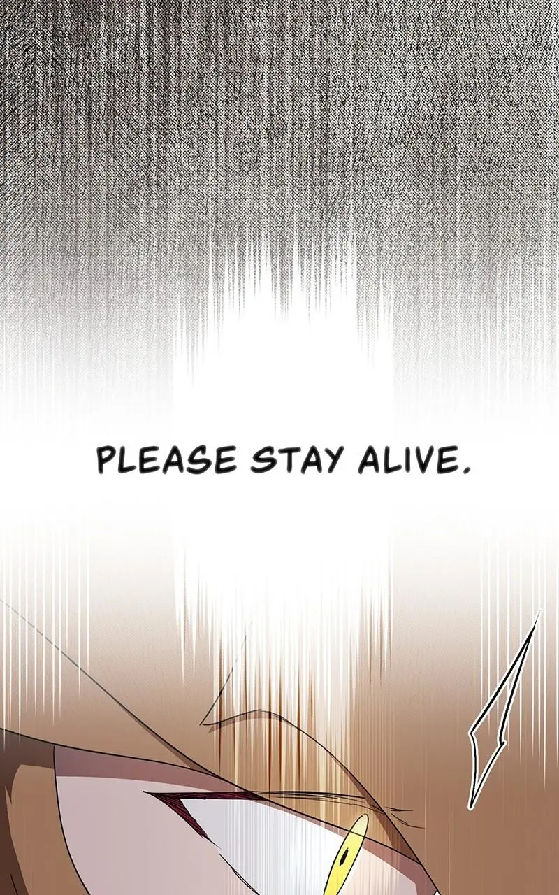 The Spark in Your Eyes Chapter 111