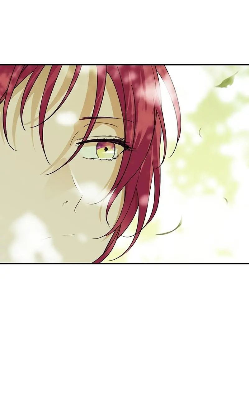 The Spark in Your Eyes Chapter 112