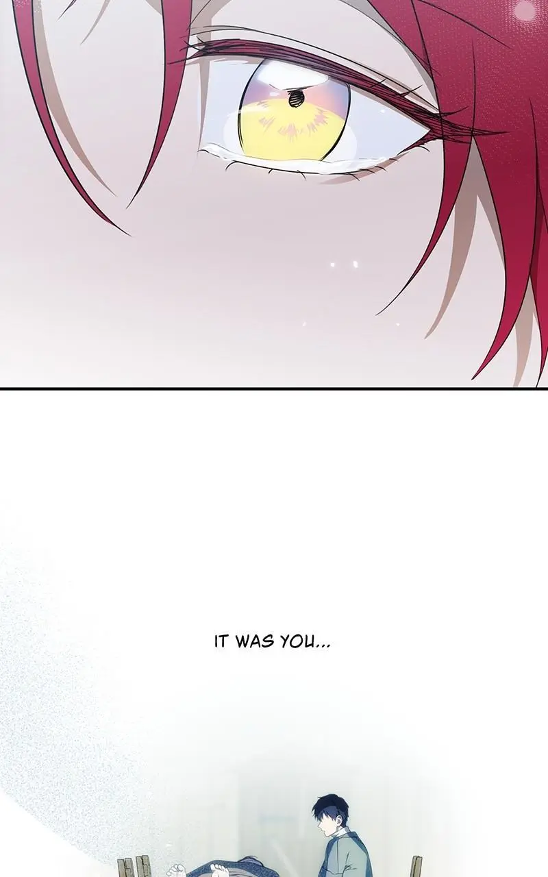 The Spark in Your Eyes Chapter 113