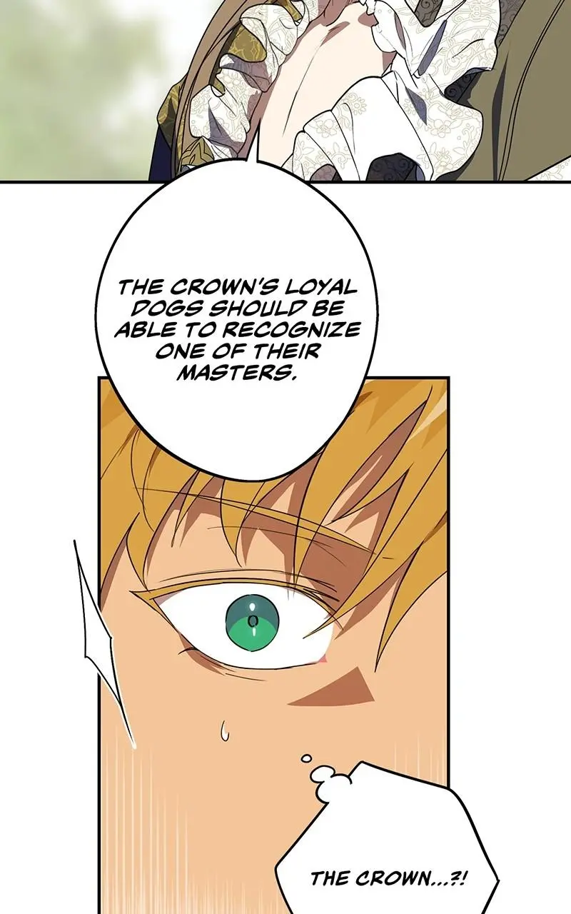 The Spark in Your Eyes Chapter 115