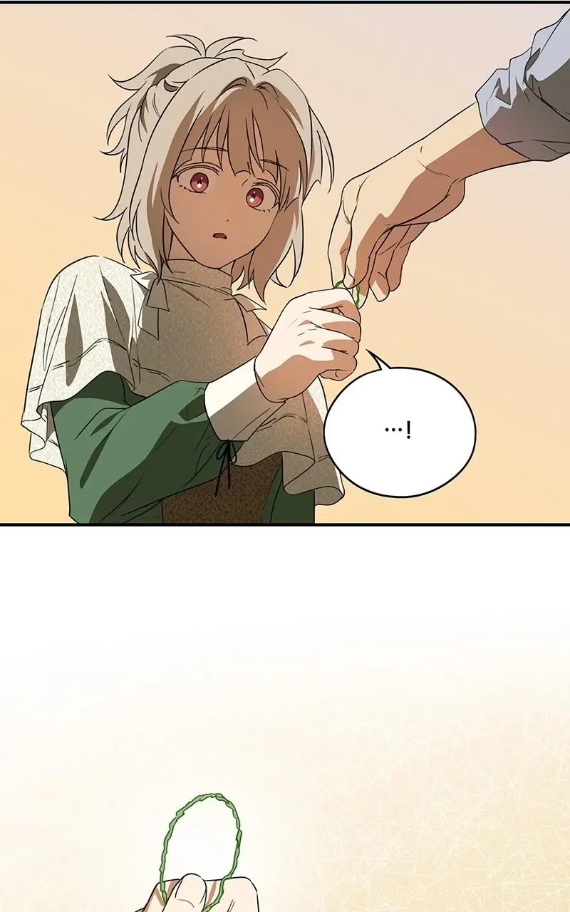 The Spark in Your Eyes Chapter 144