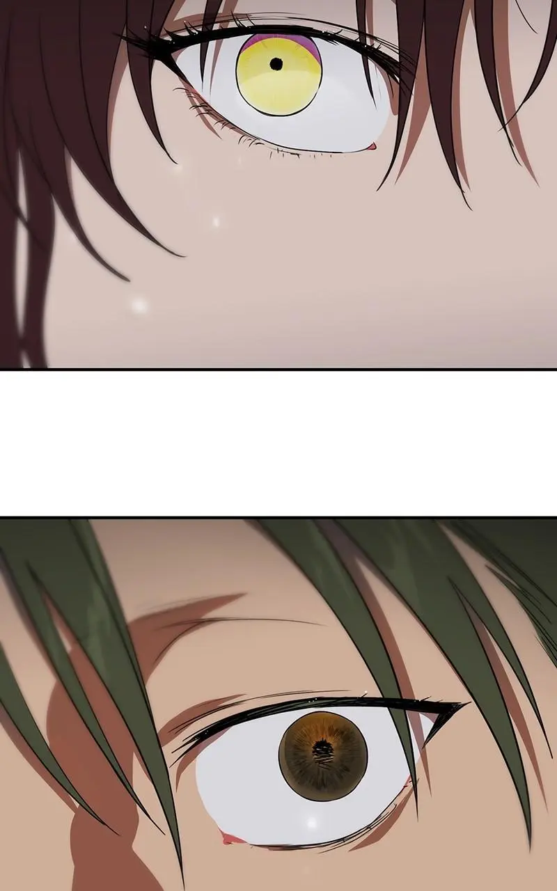 The Spark in Your Eyes Chapter 147