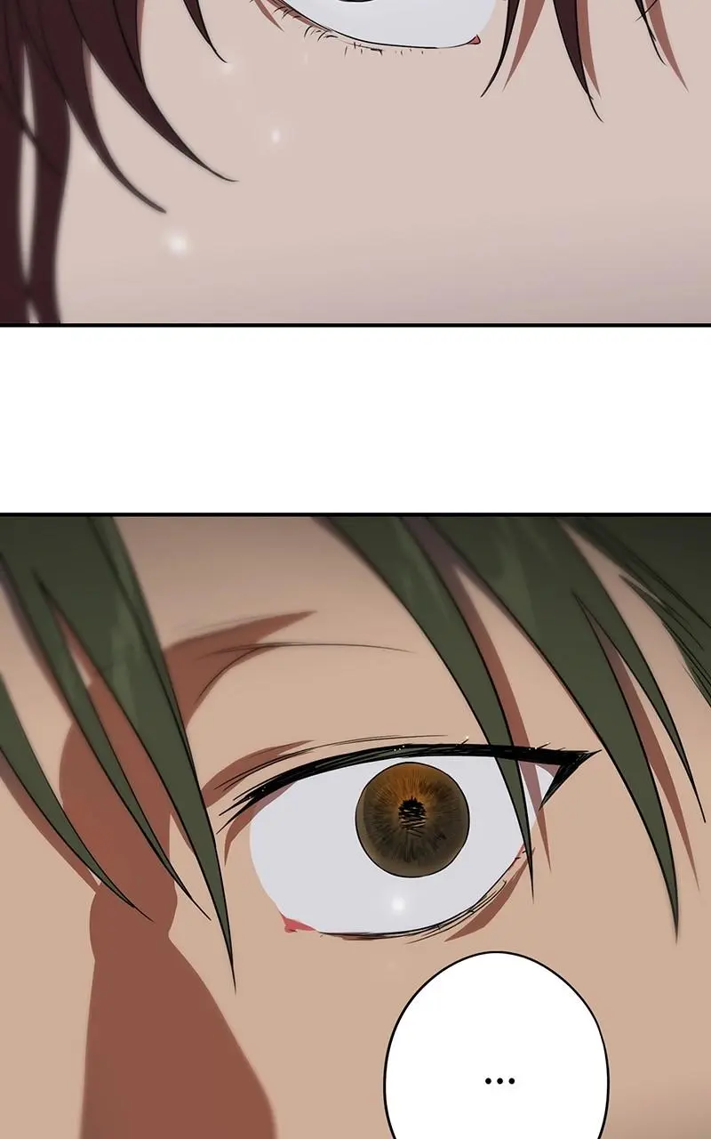 The Spark in Your Eyes Chapter 147