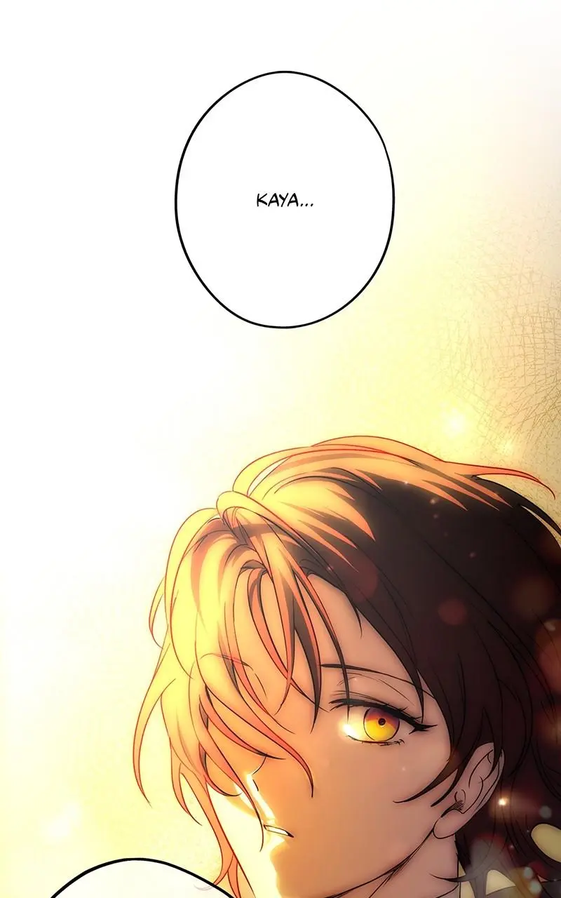 The Spark in Your Eyes Chapter 148