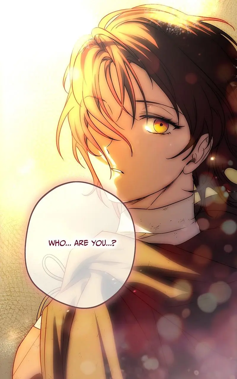 The Spark in Your Eyes Chapter 149