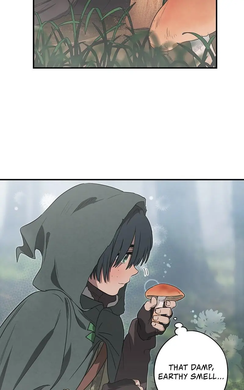The Spark in Your Eyes Chapter 166