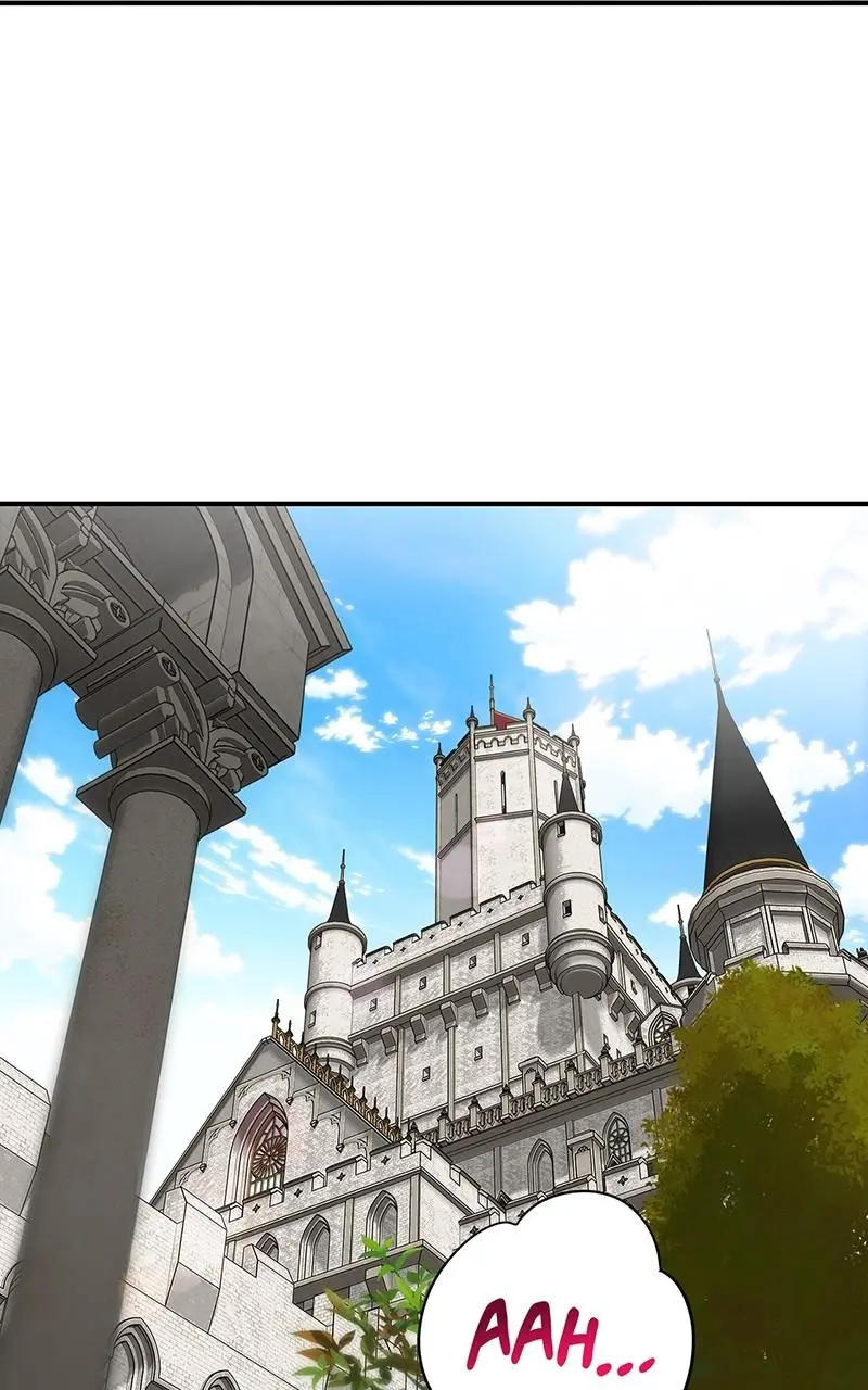 The Spark in Your Eyes Chapter 167