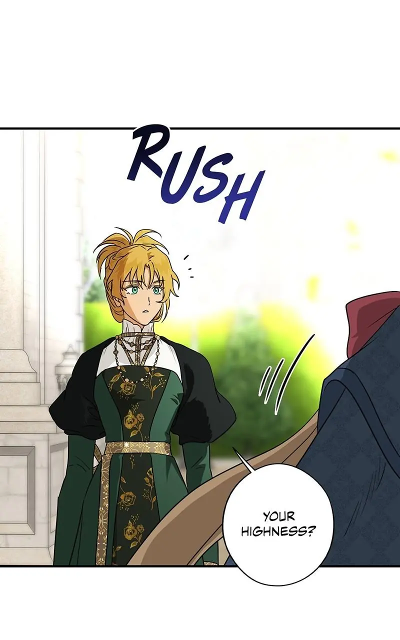 The Spark in Your Eyes Chapter 167