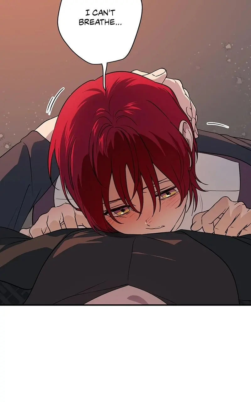 The Spark in Your Eyes Chapter 176
