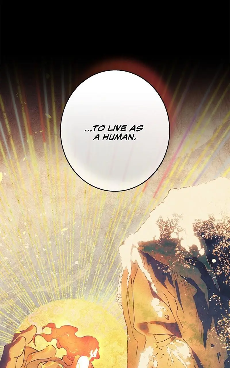 The Spark in Your Eyes Chapter 178