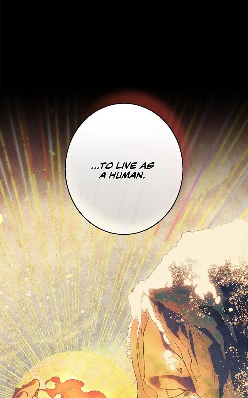 The Spark in Your Eyes Chapter 179