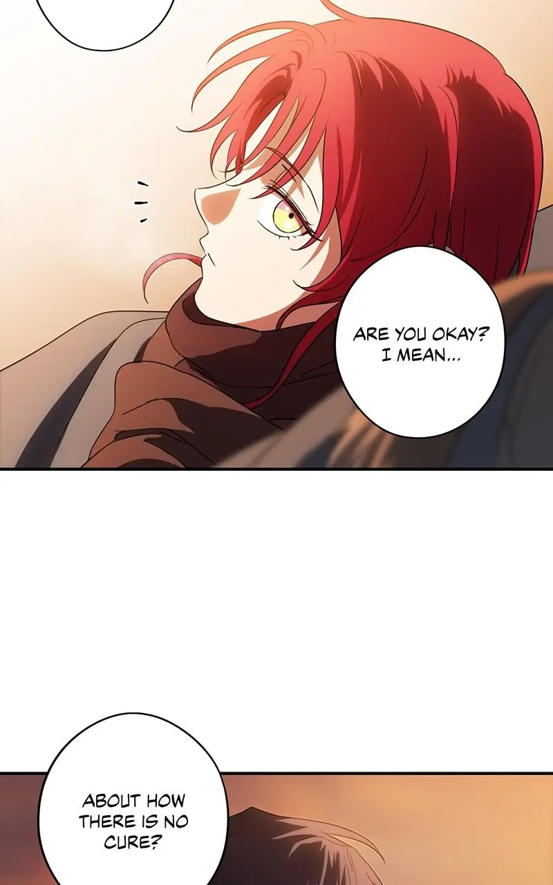The Spark in Your Eyes Chapter 180