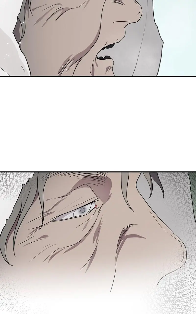 The Spark in Your Eyes Chapter 181