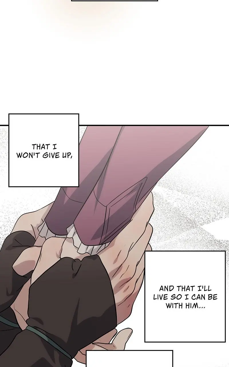 The Spark in Your Eyes Chapter 185