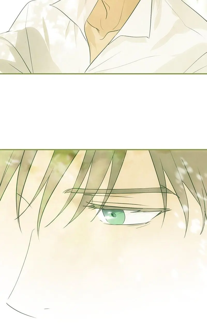 The Spark in Your Eyes Chapter 188