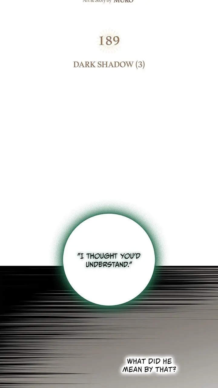 The Spark in Your Eyes Chapter 189