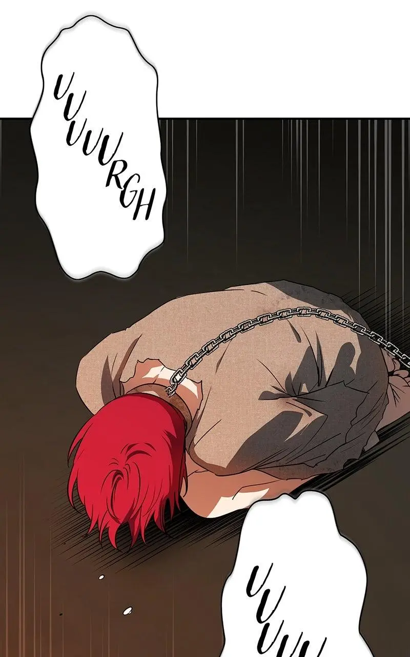 The Spark in Your Eyes Chapter 198