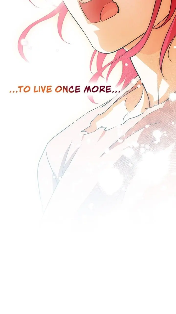 Read The Spark In Your Eyes - Chapter 202 - www.thesparkinyoureyes.com | Image 42