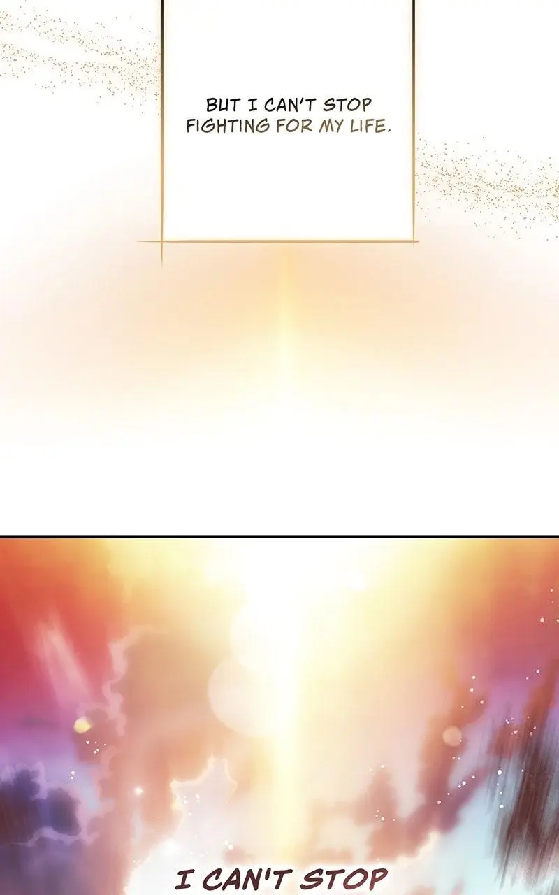 The Spark in Your Eyes Chapter 204