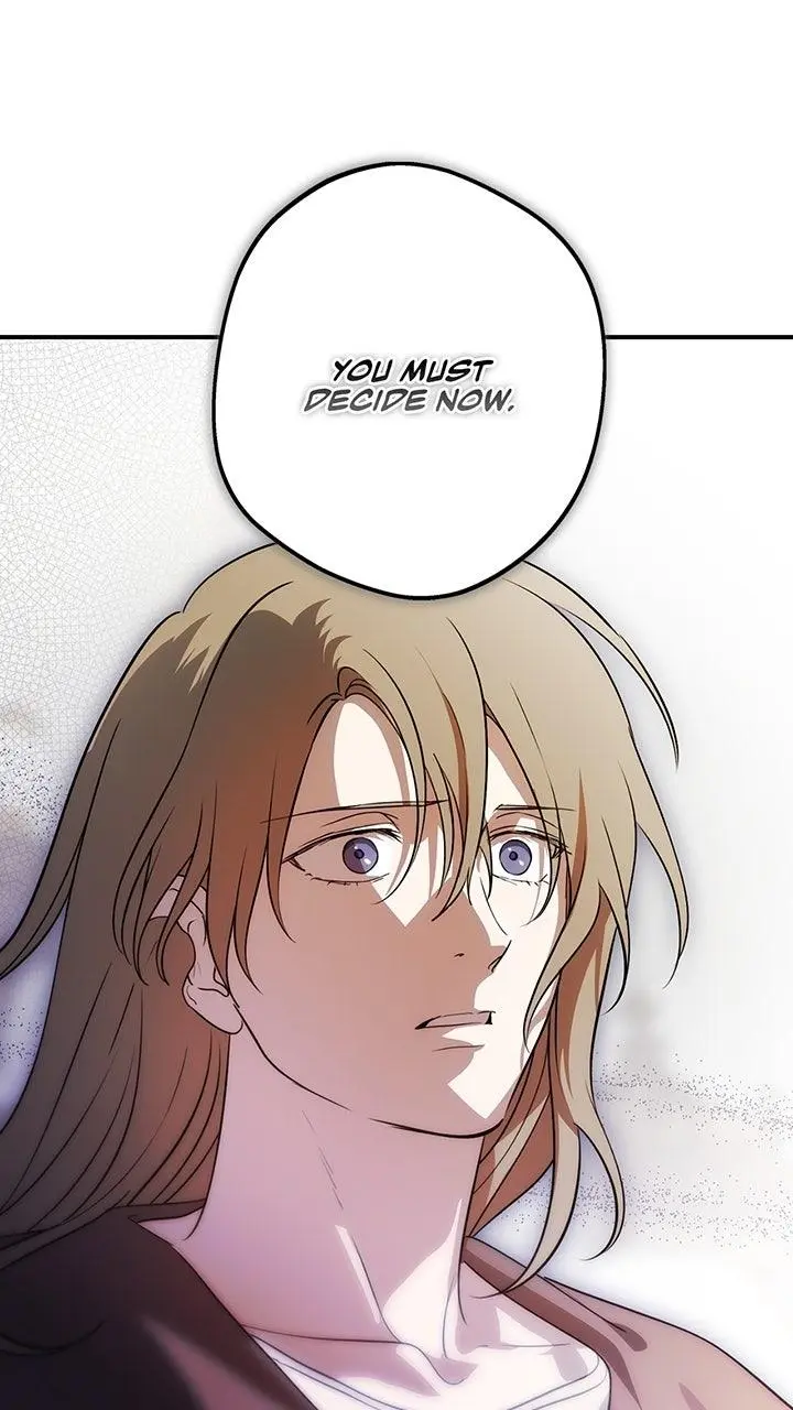 The Spark in Your Eyes Chapter 206