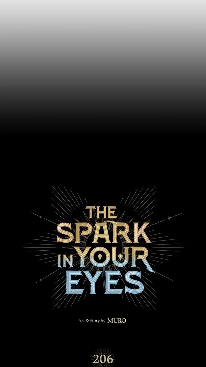 The Spark in Your Eyes Chapter 206