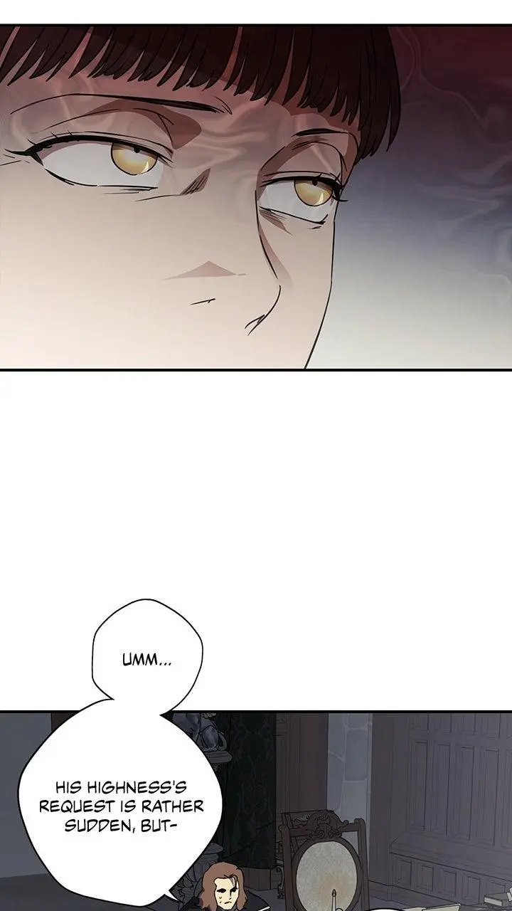 The Spark in Your Eyes Chapter 206