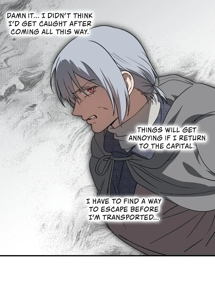 The Spark in Your Eyes Chapter 213