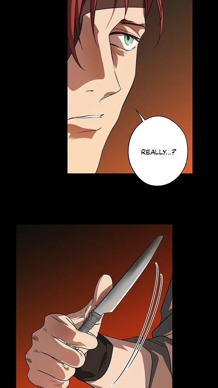 The Spark in Your Eyes Chapter 214