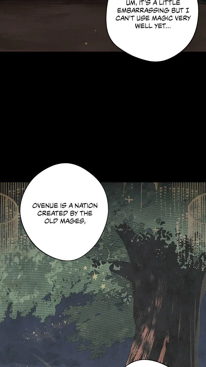 The Spark in Your Eyes Chapter 217