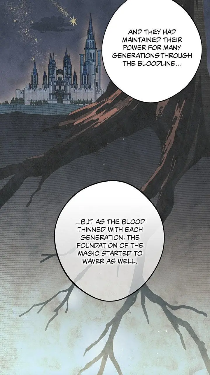 The Spark in Your Eyes Chapter 217