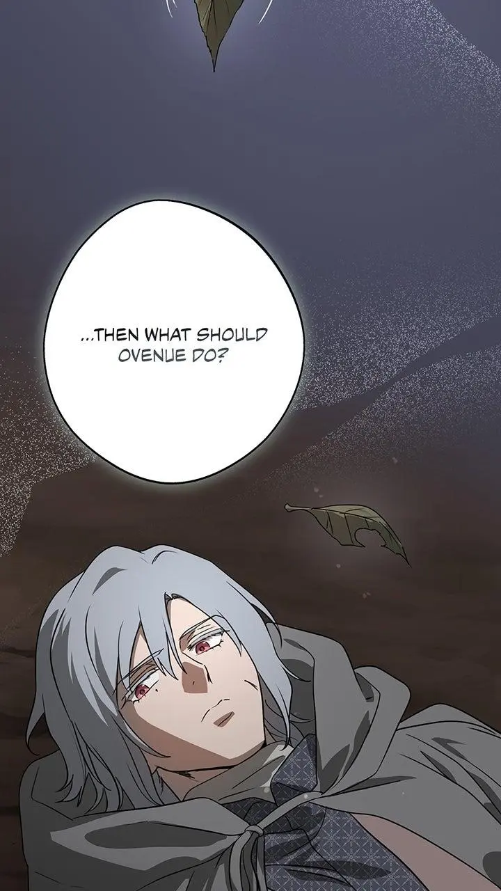 The Spark in Your Eyes Chapter 217