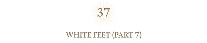 The Spark in Your Eyes Chapter 37